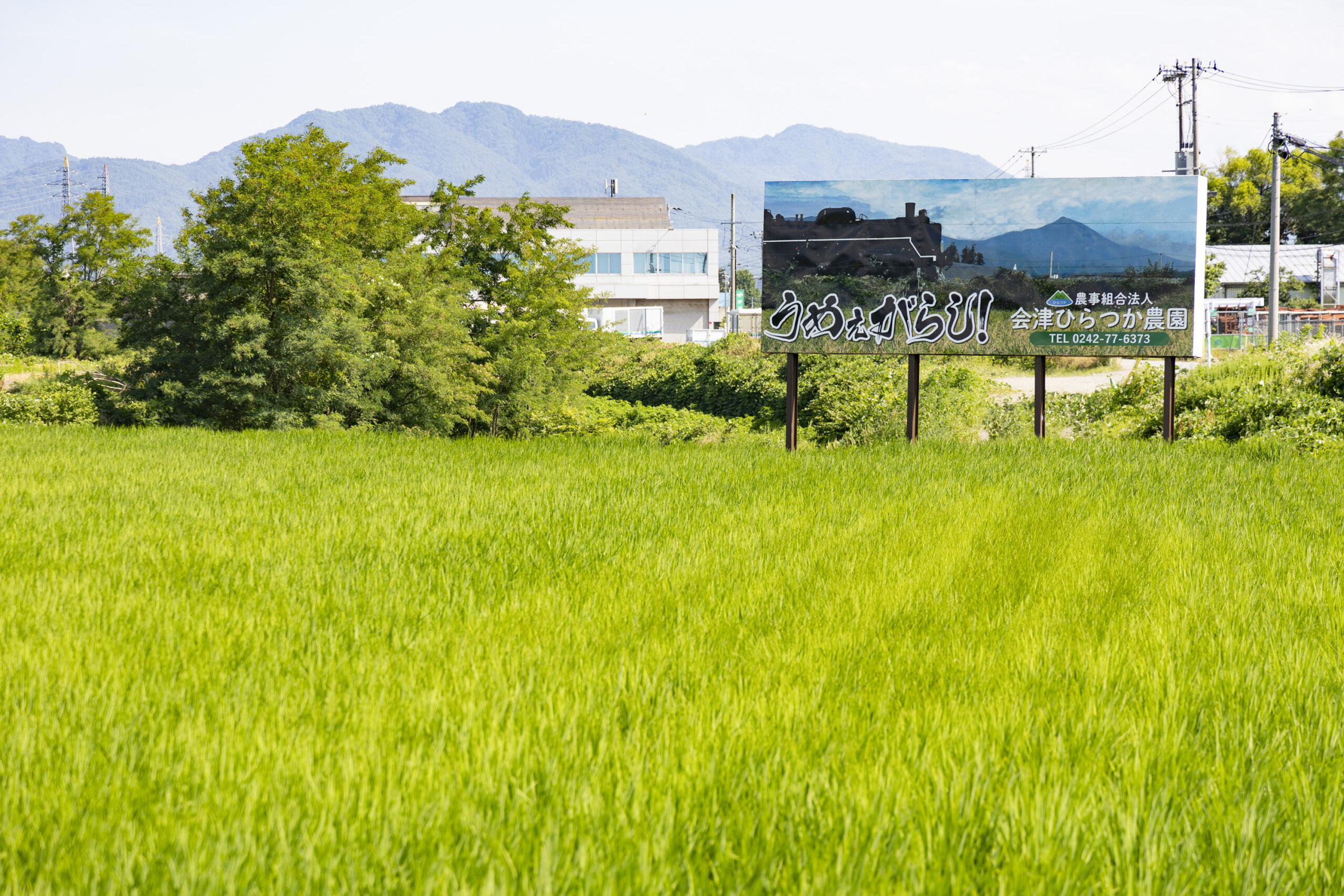 大自然の中の特別なひととき